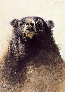Raymond Ching: "Bear" - Raymond Ching