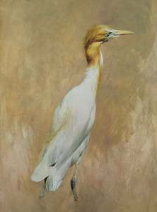 Raymond Ching: "Cattle Egret" - Raymond Ching