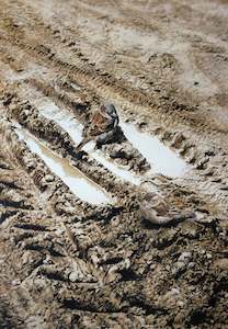 Raymond Ching: "Hard Times - Sparrow Pair" - Raymond Ching