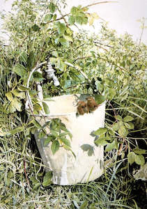 Raymond Ching: "Summer Afternoon" - Raymond Ching