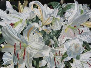 Paul Coney: "Casablanca Cascade" - Paul Coney