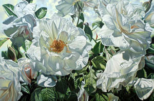 Paul Coney: "Iceberg Roses" - Paul Coney