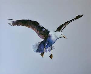 Bruce Harvey: "Seagull" - Bruce Harvey