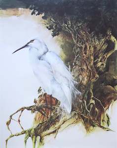 Bruce Harvey: "White Heron" - Bruce Harvey