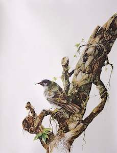 Bruce Harvey: "Bell Bird" - Bruce Harvey