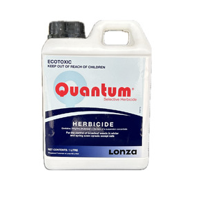 Products: Quantum