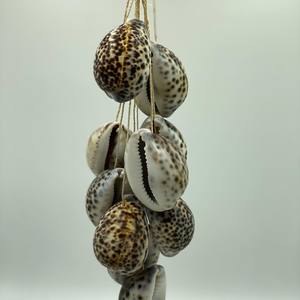 Shells: Tiger Cowrie Hanging Shells