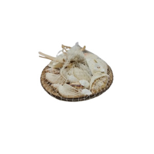 Shells: Mixed Shells in Coconut Shell