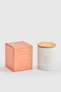 Into The Woods Collection: Autumn Spice Soy Wax Candle 300g