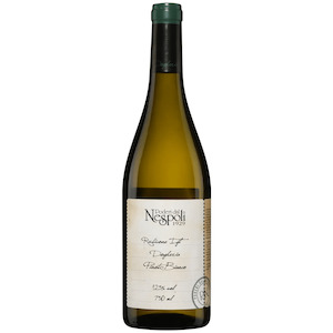 Poderi dal Nespoli Pinot Bianco Rubicone - Fine-O-Wine ( Organic & Natural Wines )