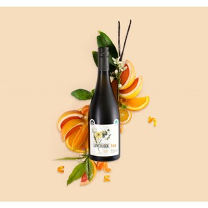 Loveblock Orange Sauvignon Blanc- TEE - Fine-O-Wine ( Organic & Natural Wines )