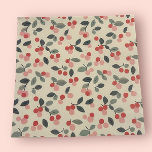 Products: Water Soluble Clay Transfer - Holly 3 Finesse Mediums