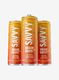 SAVVY BRAIN BOOST Passionfruit 330ml Box of 12