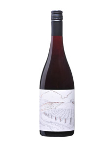 Products: Greystone Vineyard Ferment Pinot Noir 2019 - Fine Wines World Cellar