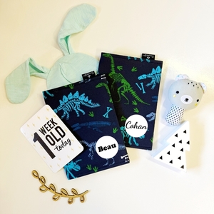 Personalised Plunket Covers FinndieLoo