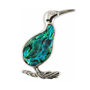 Brooches: Paua Curious Kiwi Brooch