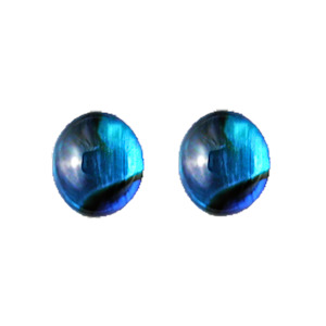 Nz Made Jewellery: Paua 7mm Oval Stud Earrings