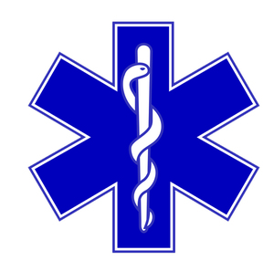 Ambulance Gear: Star of Life Decal 4 Inch