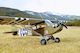 Seagull Models  L-4 Grasshopper (SEA325)