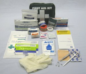 Products: Vehicle/Lone Worker First Aid Kit (Small Bag) - Fireco Fire Safety