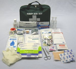 Products: Workplace Basic First Aid Kit (Regular Bag) - Fireco Fire Safety
