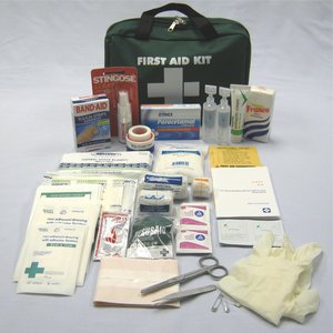Products: Travel First Aid Kit (Regular Bag) - Fireco Fire Safety