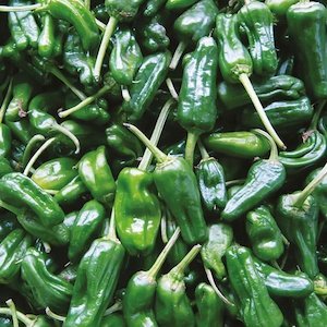Products: Pimento de Padron Seeds - Fire Dragon Chillies