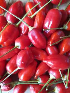 Products: Inca Red Drop - Fire Dragon Chillies