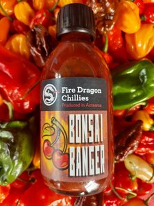 Products: Fire Banger 2021 collab SOLD OUT - Fire Dragon Chillies