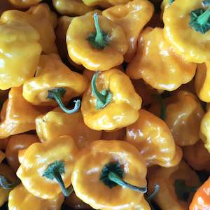 Products: Fresh Chillies Yellow Jamaican Mushroom SOLD OUT - Fire Dragon Chillies