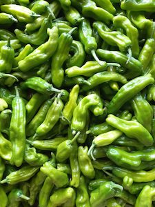 Shishito Japanese Peppers - Fire Dragon Chillies
