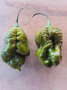 Big Mustard Mama - Fire Dragon Chillies