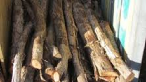 Hangi wood