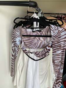 Lioness: Zebra Crop FOR SALE
