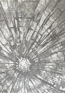 Rugs Series: Minott 22 – First Floordo, Auckland