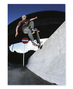 Products: Bernard Foo Blunt Welliington 2007 Print