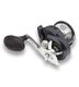 Shimano Torium 14 - Fishing Direct