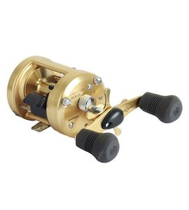 Shimano Calcutta 400 - Fishing Direct