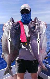 Products: Latest Fishing Innovation