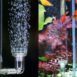 Pet Supplies: Ziss Air/CO2 Diffuser