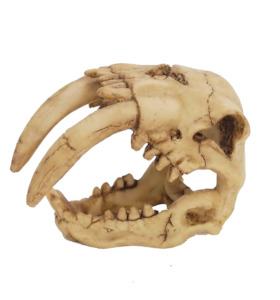 Ornaments: Saber Tooth Tiger Skull Aquarium Ornament