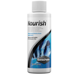 Feeding Equipment: Seachem Nourish