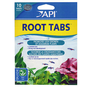 API Root Tabs