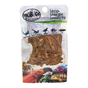 Pro Bugs Mealworms
