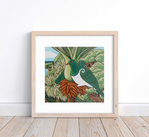 Waiheke Kererū - G.Parker