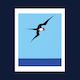 Pacific Frigate Bird print by Don Binney