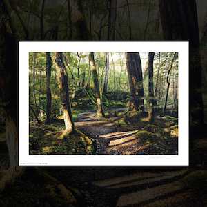 Sam Foley Art Prints: “Routeburn Track II” signed art print by Sam Foley