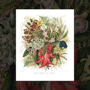 'Wild Flowers and Berries' vintage floral art prints by Sarah Featon