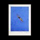 'Diving Boy' limited edition art print by Dick Frizzell (pre-order)
