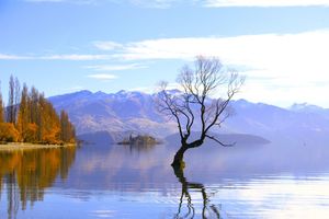 Products: Southern New Zealand Signature